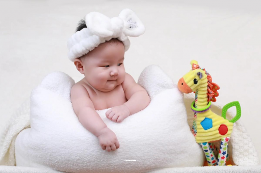 湖州2025盐城助孕公司名单揭晓，哪家口碑佳推荐？